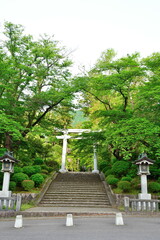 弥彦神社　参道（新潟県）