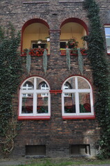 Window with flowers in the old town of Katowice, Poland Ivy growing on the wall of a house