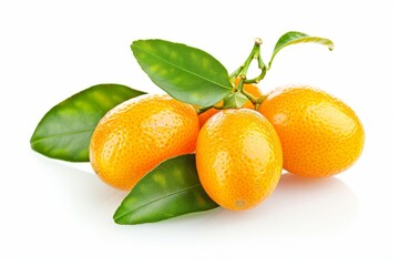 A fresh kumquat isolated on white