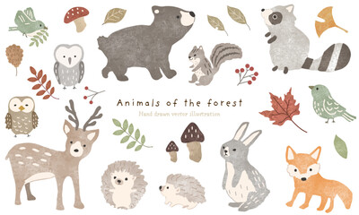 かわいい森の動物たちと秋の植物のイラスト素材セット