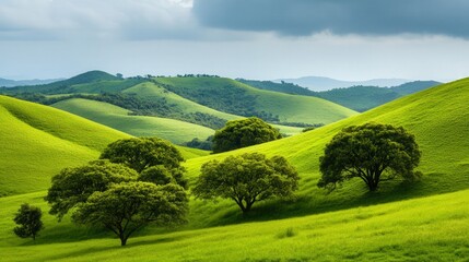Lush Green Hills, a vibrant landscape showcasing rolling hills adorned with flourishing trees, epitomizing the essence of untouched natural beauty and tranquility.