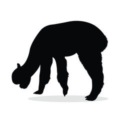 Alpaca Silhouette, cute Alpaca Vector Silhouette, Cute Alpaca cartoon Silhouette, Alpaca vector Silhouette, Alpaca icon Silhouette, Alpaca vector																									
