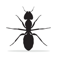 Ant Silhouette, cute Ant Vector Silhouette, Cute Ant cartoon Silhouette, Ant vector Silhouette, Ant icon Silhouette, Ant vector																									