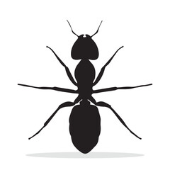 Ant Silhouette, cute Ant Vector Silhouette, Cute Ant cartoon Silhouette, Ant vector Silhouette, Ant icon Silhouette, Ant vector																									