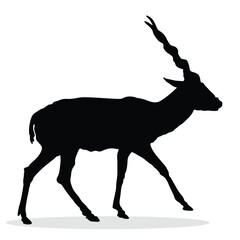 Antelope Silhouette, cute Antelope Vector Silhouette, Cute Antelope cartoon Silhouette, Antelope vector Silhouette, Antelope icon Silhouette, Antelope vector																									