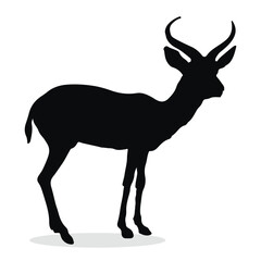 Antelope Silhouette, cute Antelope Vector Silhouette, Cute Antelope cartoon Silhouette, Antelope vector Silhouette, Antelope icon Silhouette, Antelope vector																									