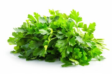 Fototapeta premium A fresh Parsley and Parsley Power isolated on white