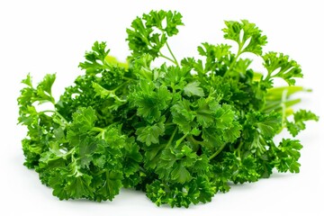 Fototapeta premium A fresh Parsley and Parsley Power isolated on white