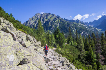 Fototapeta premium Man hiking the rocky trail to the Popradske Pleso lake, Slovakia