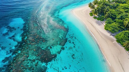 Tropical Paradise: An Aerial View of a Pristine Beach