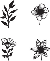 A set of black and white flowers