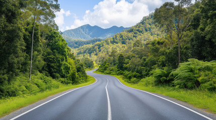 Fototapeta premium Winding road through the forest, Black Spur drive, Yarra Ranges, Victoria, Australia.