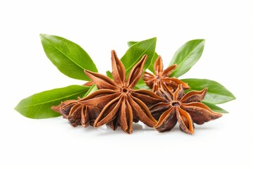 A fresh Star anise and Star anise Power isolated on white
