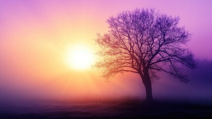 Beautiful silhouette of a tall, bare tree with golden and purple sunrise rays shining softly from behind, against a misty, realistic background