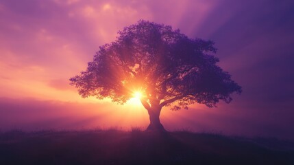 Stunning silhouette of a majestic tree with radiant golden and purple sunrise rays beaming from behind, set against a misty, realistic landscape