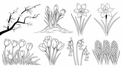 set of hand drawn flowers, set of  floral line drawing illustrations, isolated on white background 