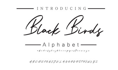 Premium Stylish Signature Script Font