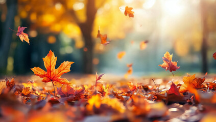 Autumn leaves with sunlight streaming through the trees, creating a warm and enchanting atmosphere. This image captures the beauty of fall, perfect for nature-themed content and seasonal promotions.