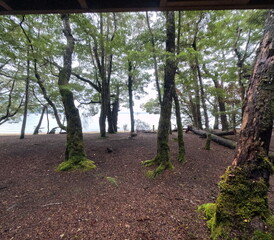 Green Lake Hut at in Fiordland National Park
