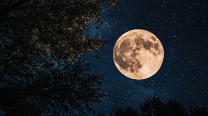 Fototapeta premium Full moon illuminating a night sky