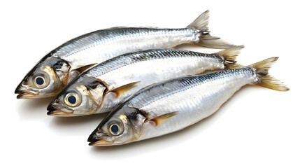Fototapeta premium Herring fish isolated on white background 