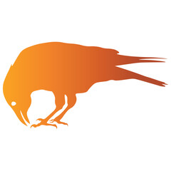 Halloween Raven Silhouette with Colorful Design. Vector Illustration