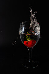 Splash