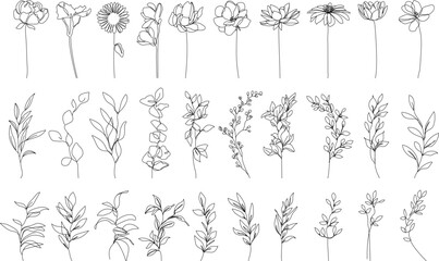 Continuous Line Drawing Of Plants Black Sketch of Flowers and Leaves Branch Isolated on White Background. Flower with Leaves One Line Illustration. Minimalist Botanical Drawing. Vector