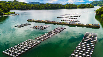 ドローンで撮影した牡蠣の養殖場（日本）