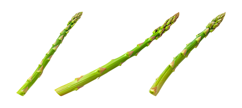 Three asparagus spears positioned at different angles on transparent background