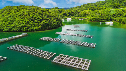 ドローンで撮影した牡蠣の養殖場（日本）
