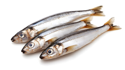 Herring fish isolated on white background
