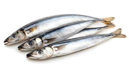 Herring fish isolated on white background
