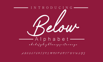 Elegant Signature Script Font for Branding
