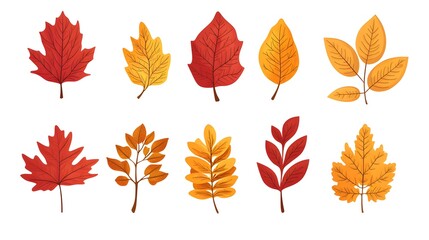 Set of autumn leaves clip art, vector illustration, white background, flat color, hand-drawn style, autumn colors
