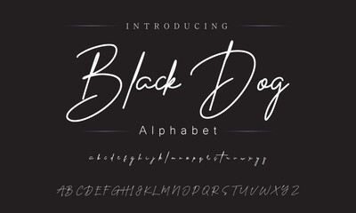 Stylish Signature Font for Professional Use