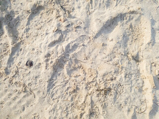 Closeup of sand on the beach.