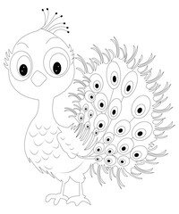 peacock coloring book page