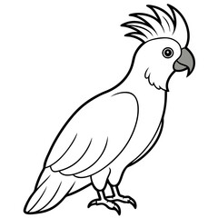 Parrot isolated on white line art vector illustration