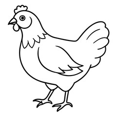 Hen Line Art Vector Illustration