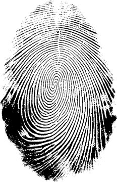 recommend clip art: Vector white and black fingerprint texture.
