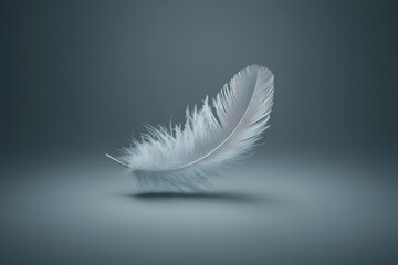 Obraz premium A single white feather, light and delicate, rests isolated on a black background, symbolizing purity and fragility
