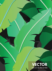 Vector Background with Tropical Banana Leaves