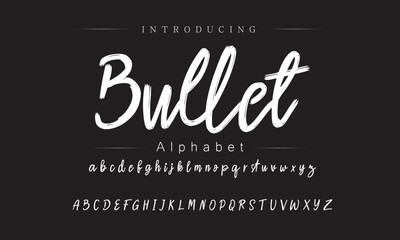 Chic Brush Script Typeface