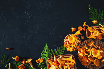 Raw fresh forest chanterelles in baskets on black slate board. © lizavetta