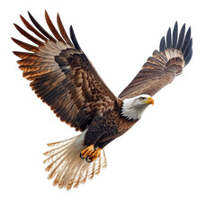 A majestic bald eagle, soaring through the sky, photorealistic style, detailed feathers in brown and white, isolated on white background. 