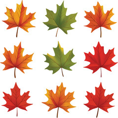 Maple Leaf vector on transparent background for autumn fall designs and decor