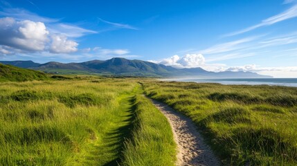 Obraz premium A scenic hiking trail winds through rolling green dunes and leads to breathtaking views of the Irish coastline with majestic mountains in the background.