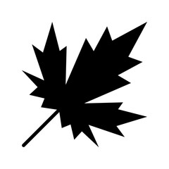 Maple leaf plant icon. Maple leaves silhouette isolated on a white background.