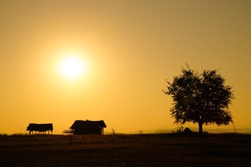 Fototapeta premium sunrise in the countryside